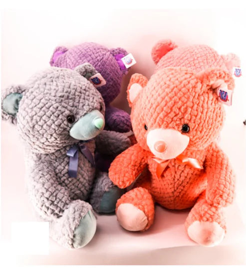 Twin Teddy Set