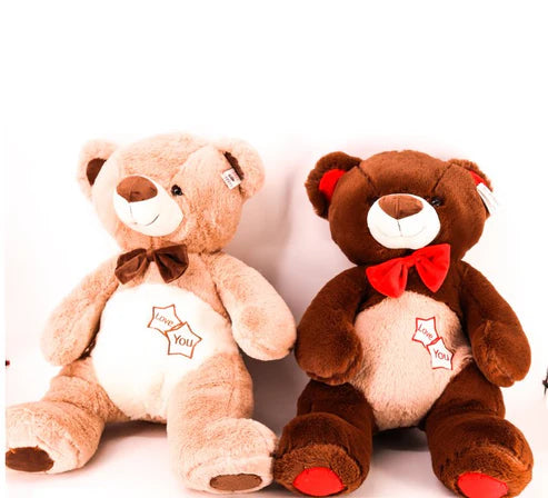 Twin Teddy Set