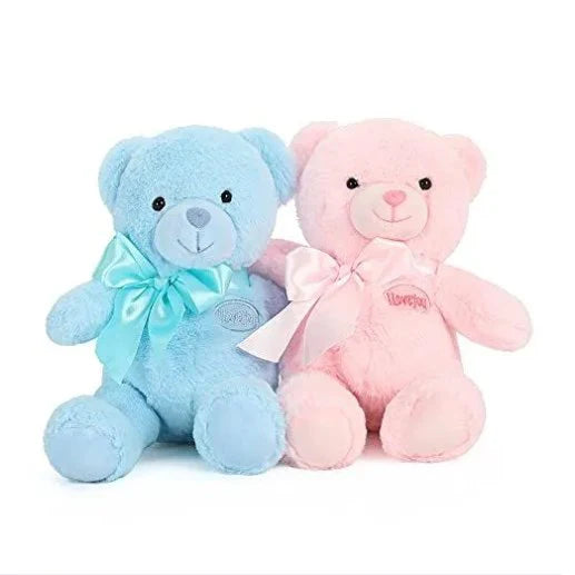 Twin Teddy Set