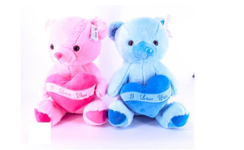 Twin Teddy Set