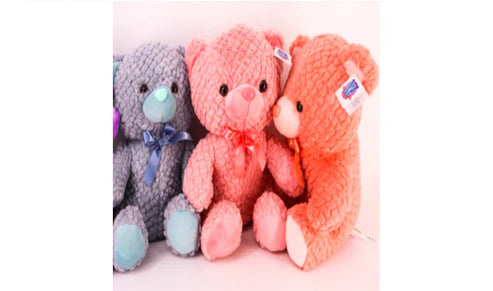 Twin Teddy Set